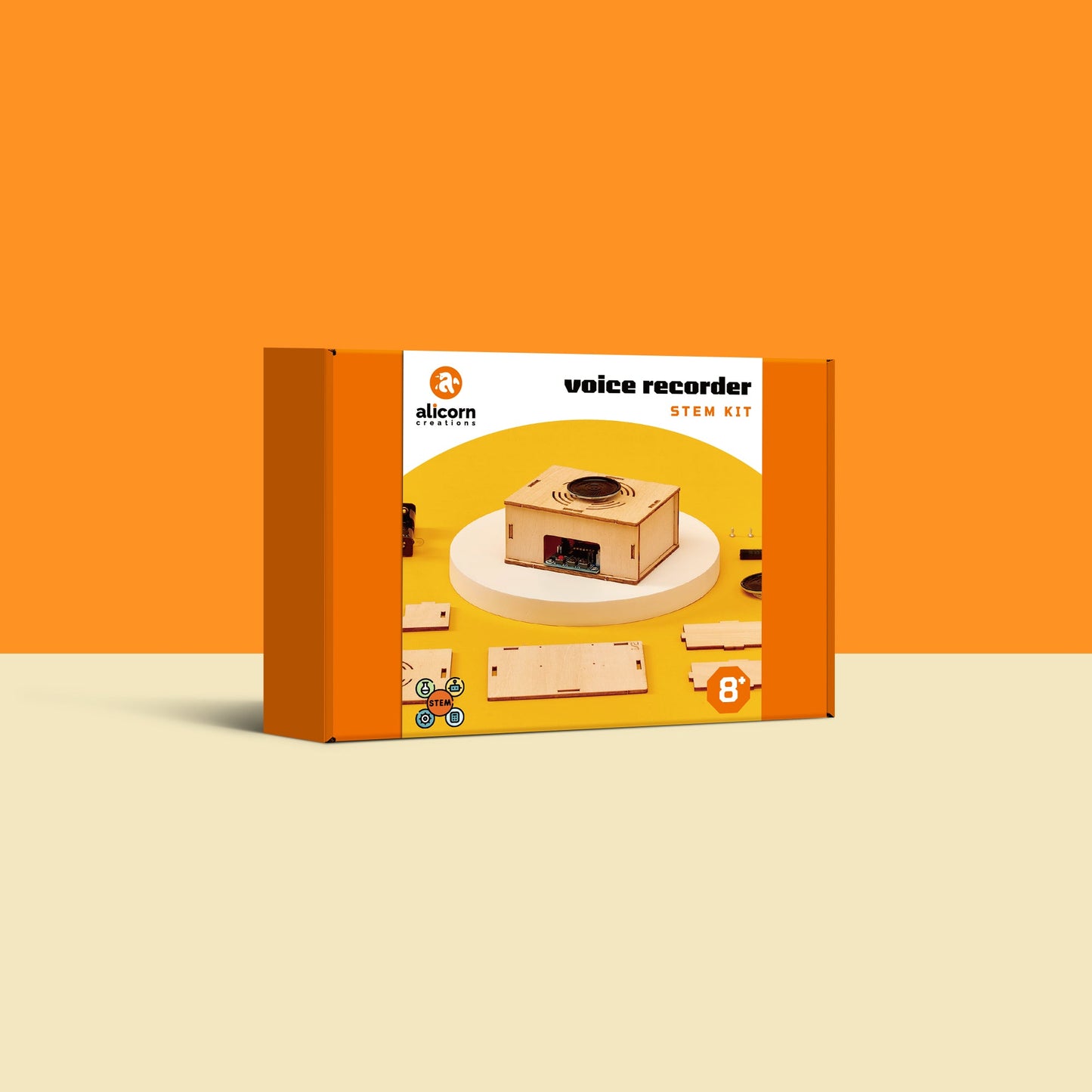 Voice Recorder DIY Kit