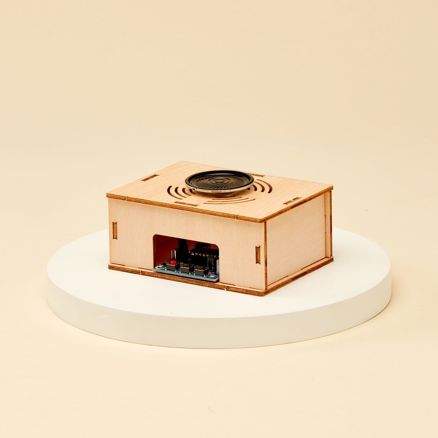 Voice Recorder DIY Kit