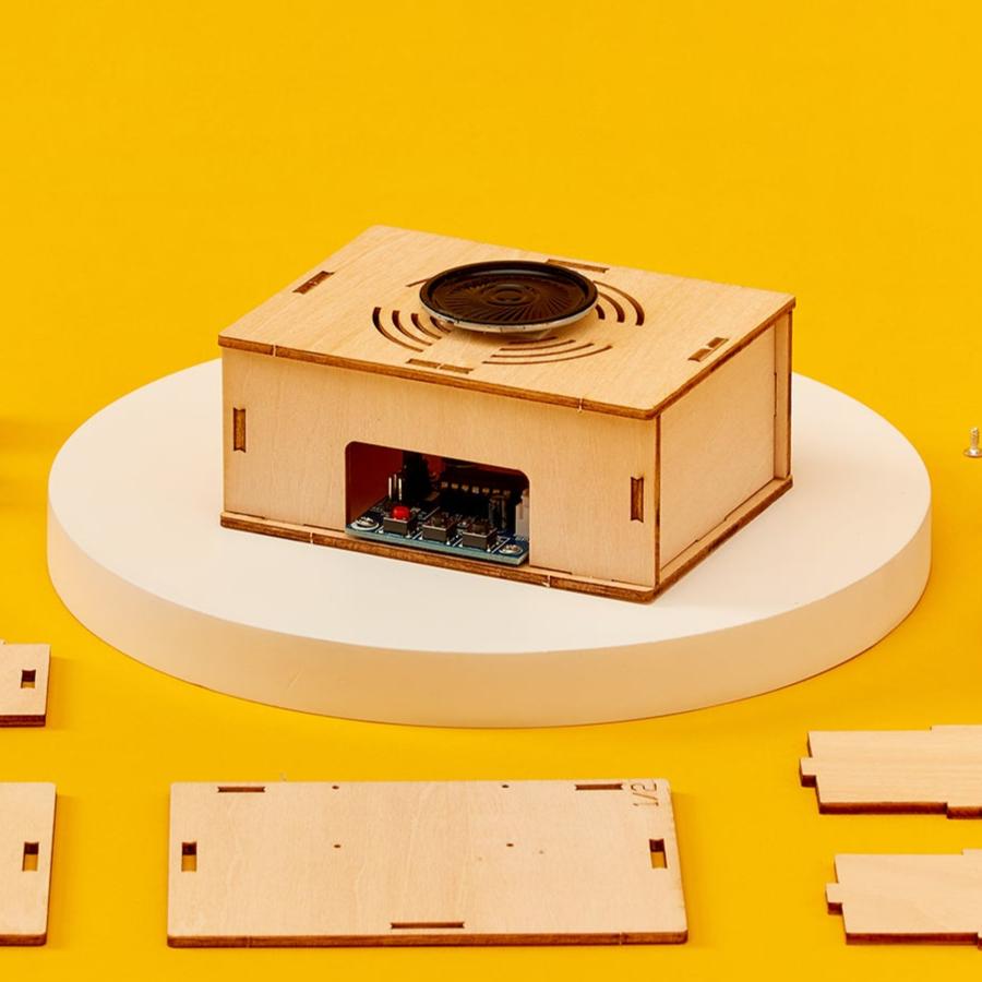 Voice Recorder DIY Kit