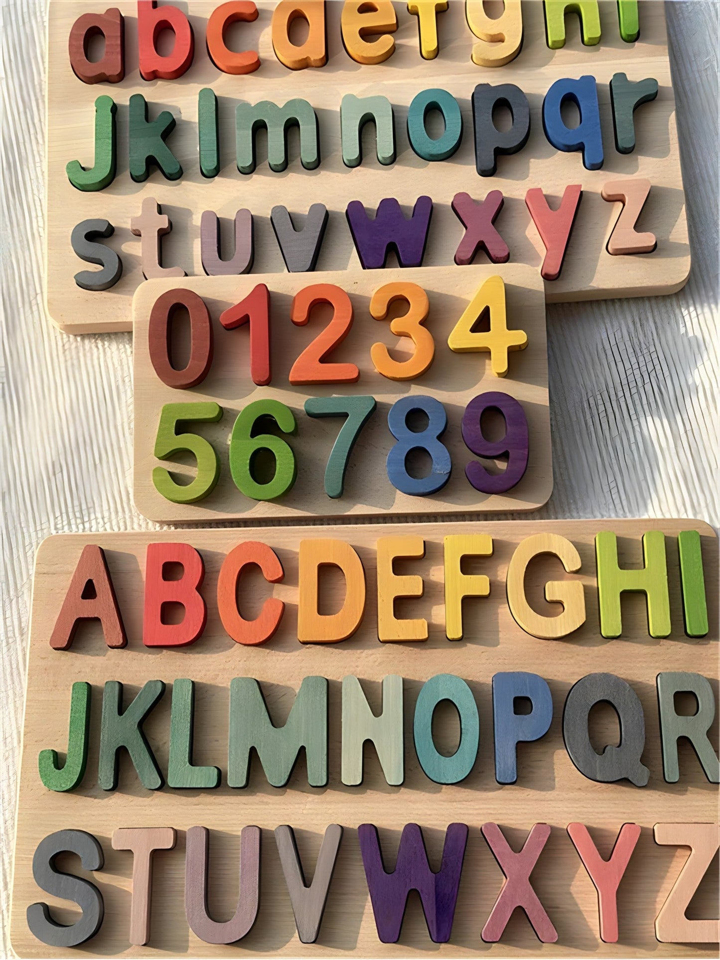 Montessori Wooden Puzzle