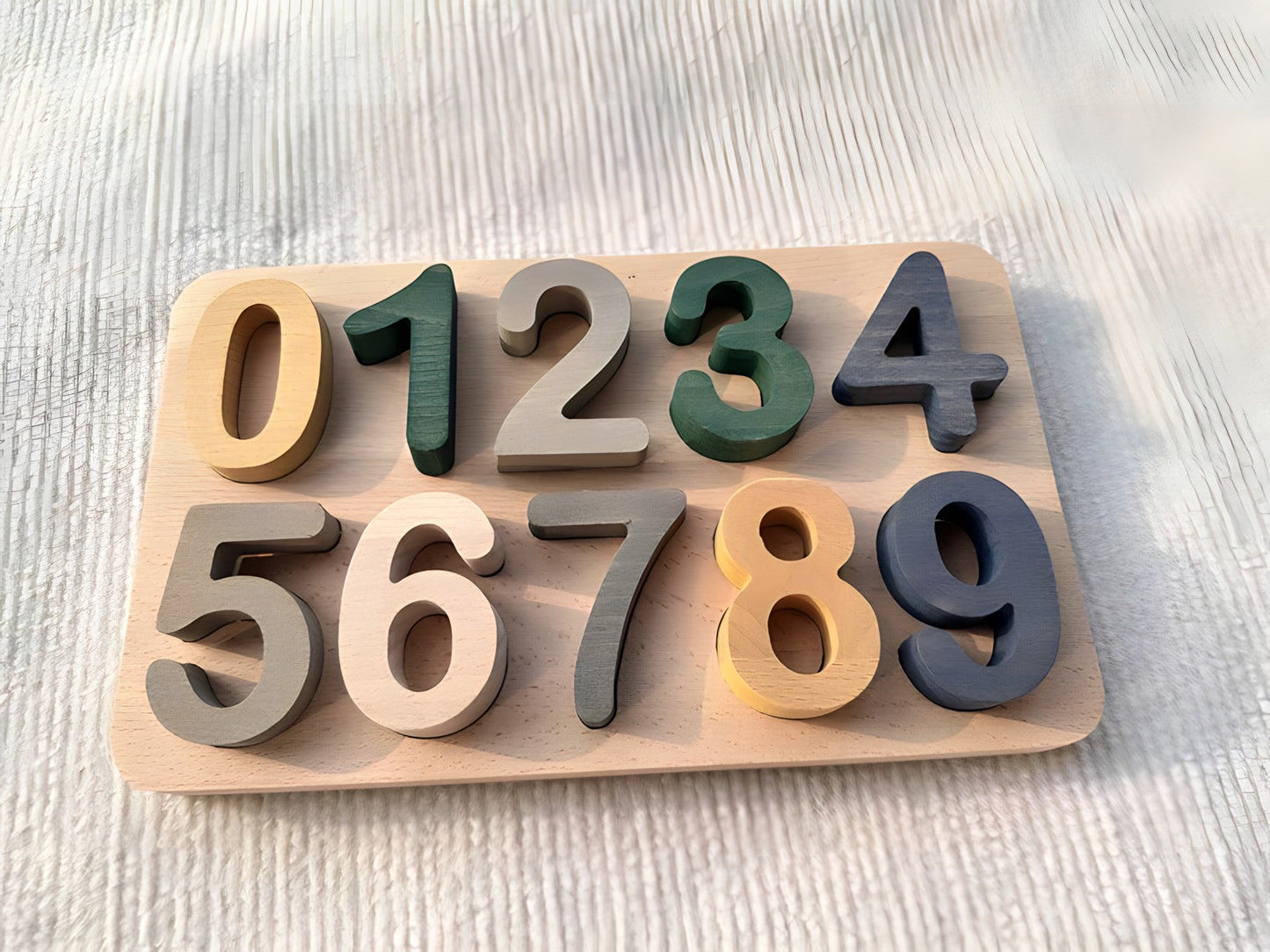 Montessori Wooden Puzzle