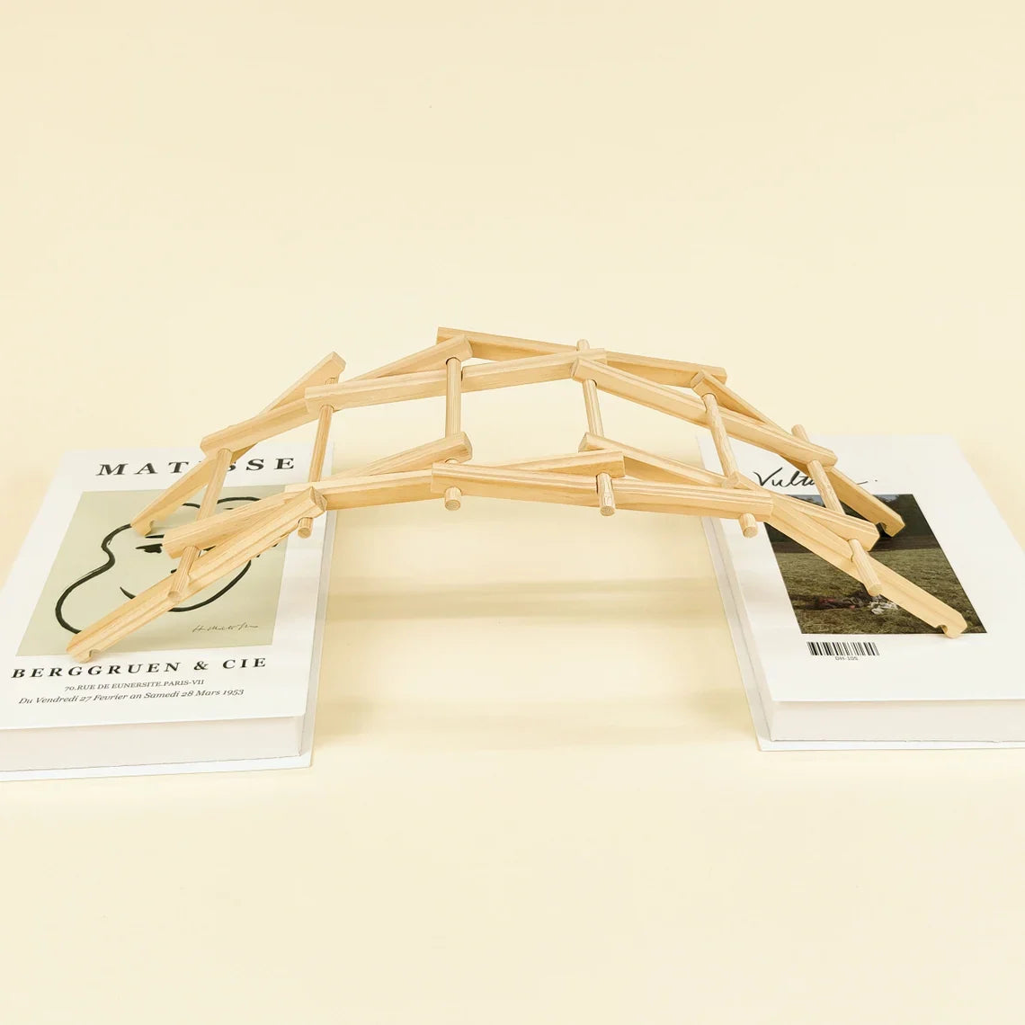 Da Vinci's Bridge DIY Kit