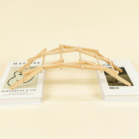 Da Vinci's Bridge DIY Kit